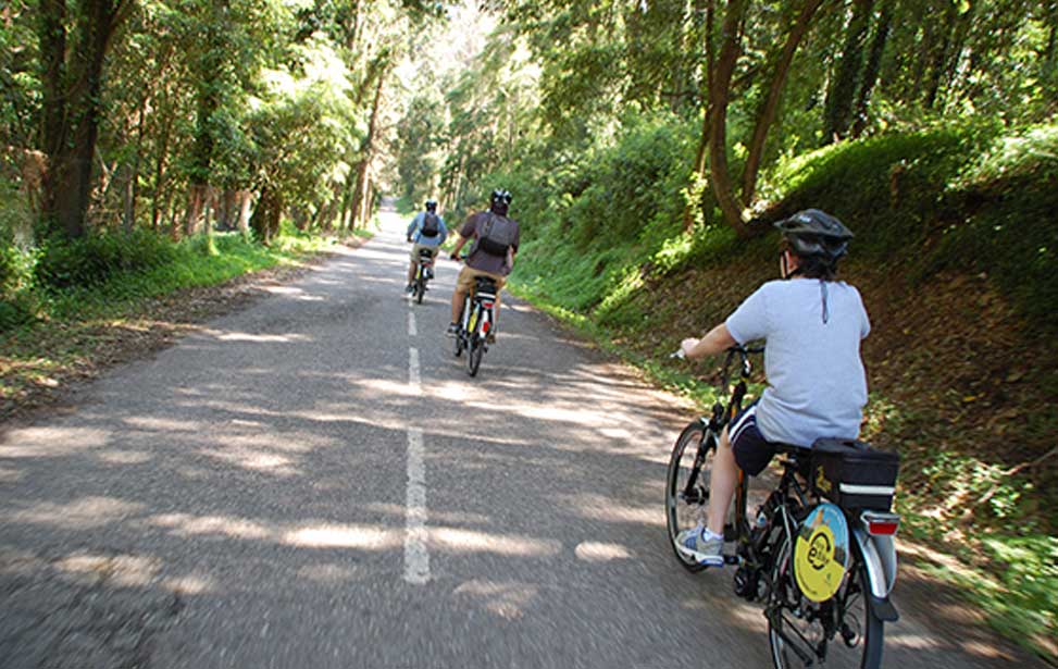 Cycling in Sintra