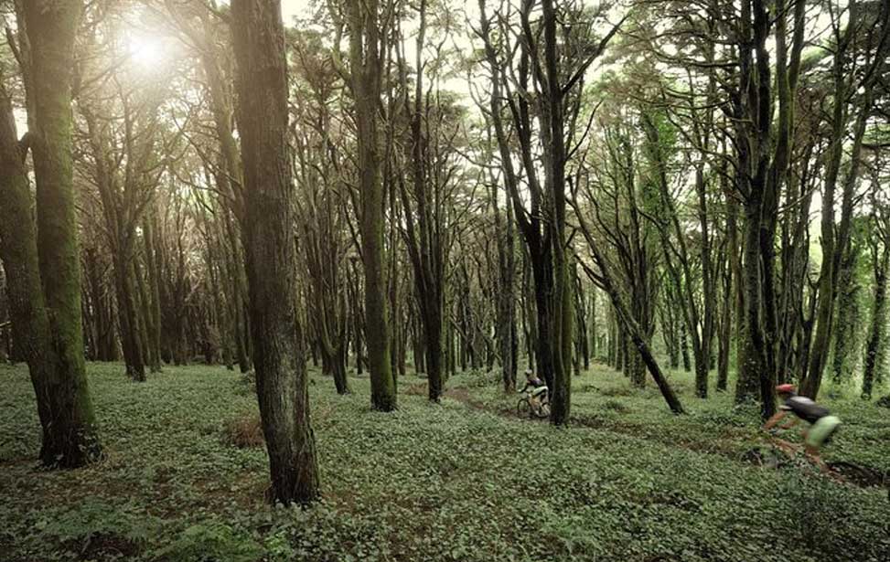 Sintra Private Bike Tour