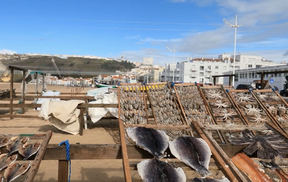 Sun-Dried Fish Museum (Museu do Peixe Seco)